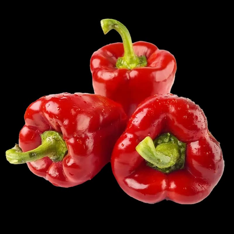 Capsicum Red