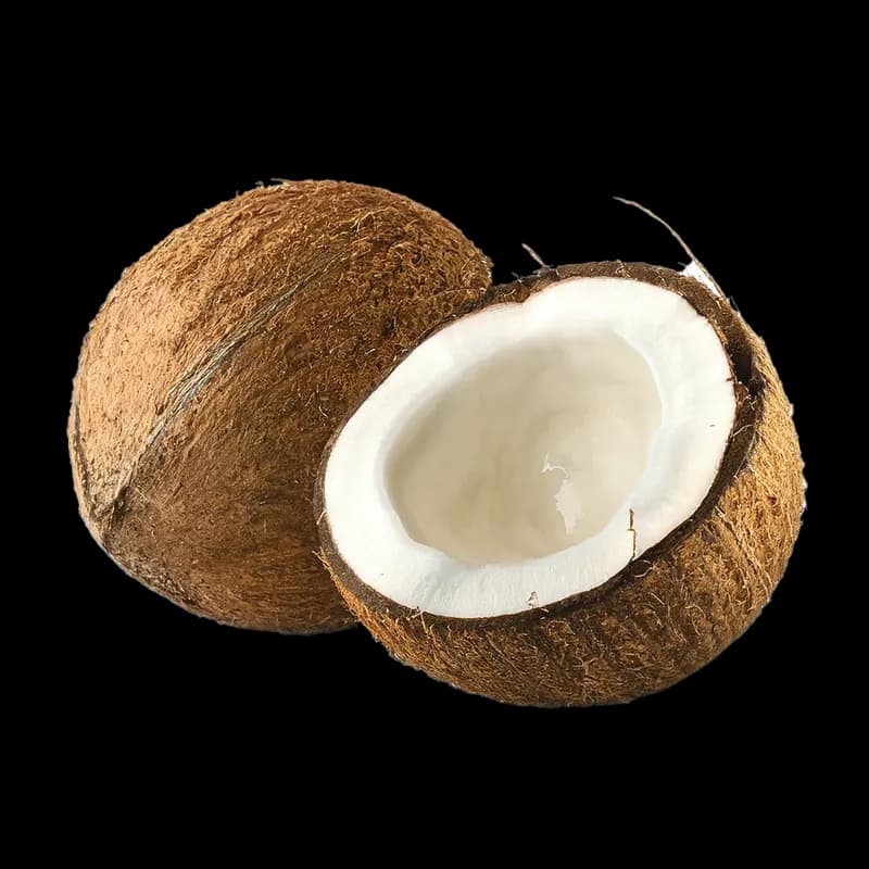 Coconut