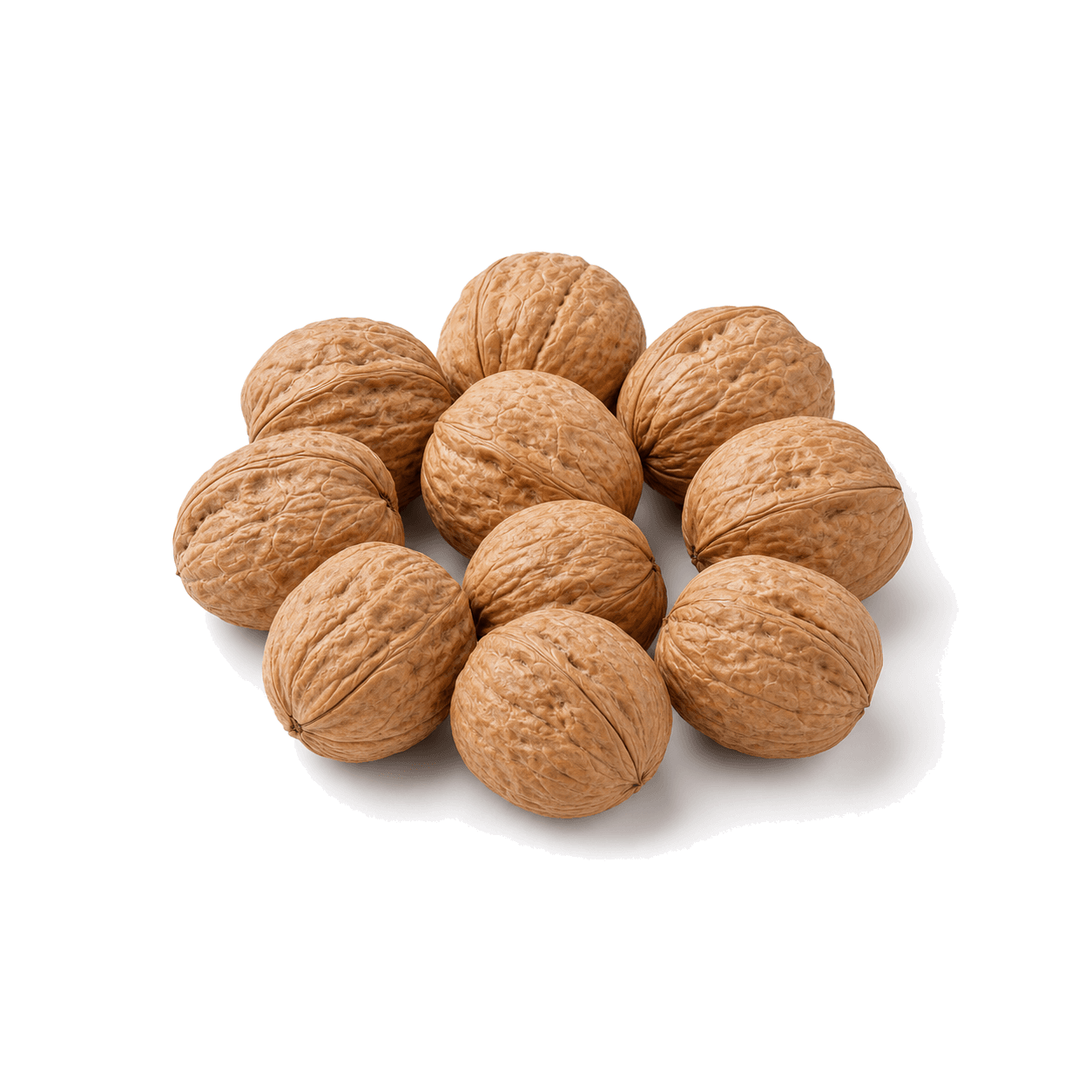 Whole Walnuts in Shell