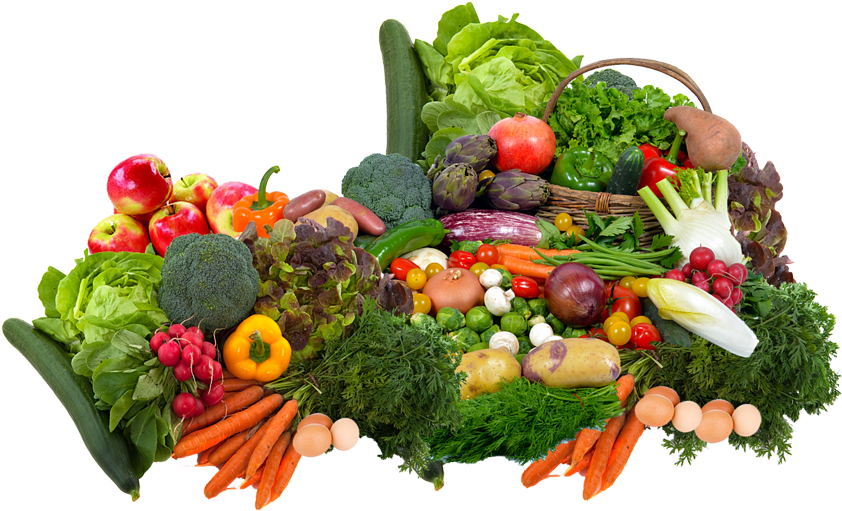 37 375357 the lewis family philosophy sri lankan fruits and