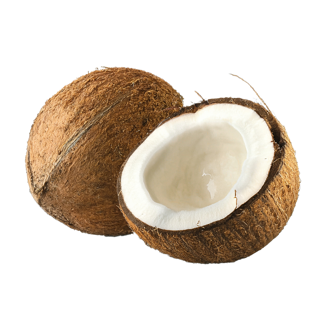 Coconut 1 Coconut