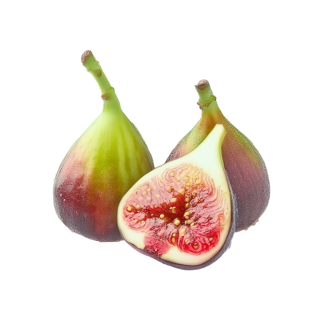 Figs 1 Figs