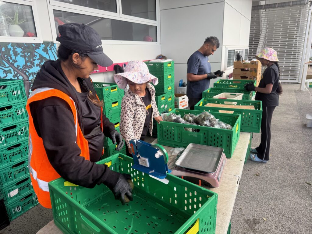 IMG_1006 svg+xml;charset=utf