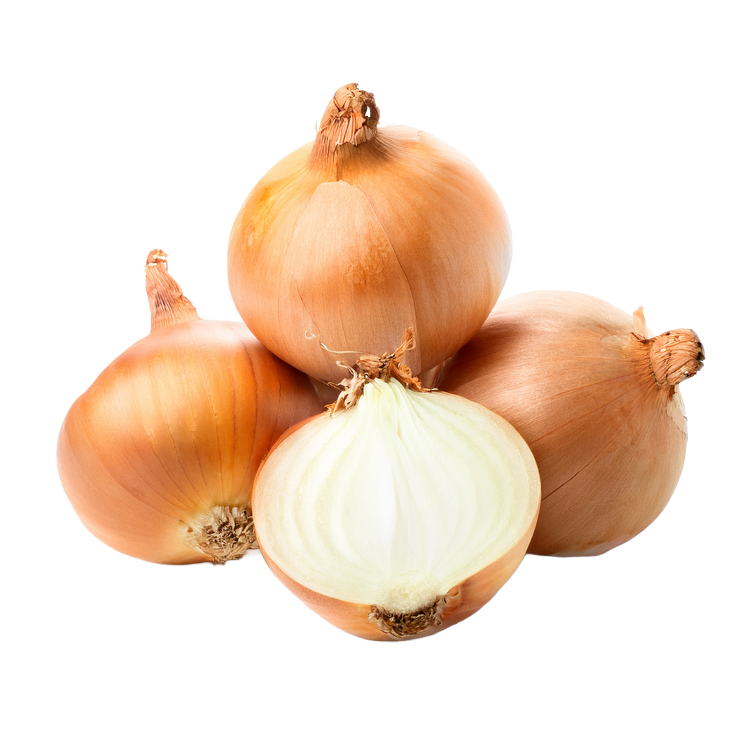 Onion 5KG 1 Onion 5KG