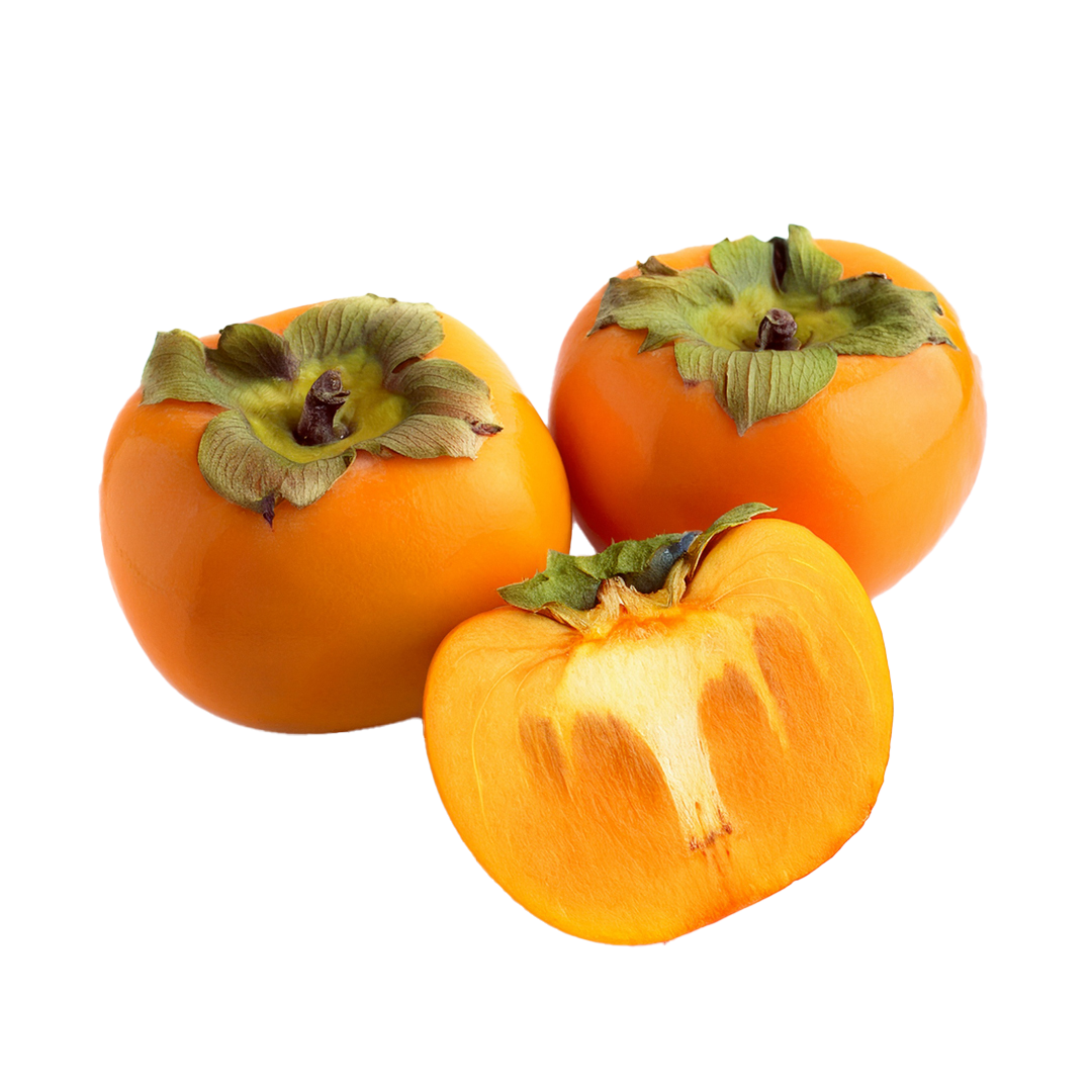 Persimmon 1 Persimmon