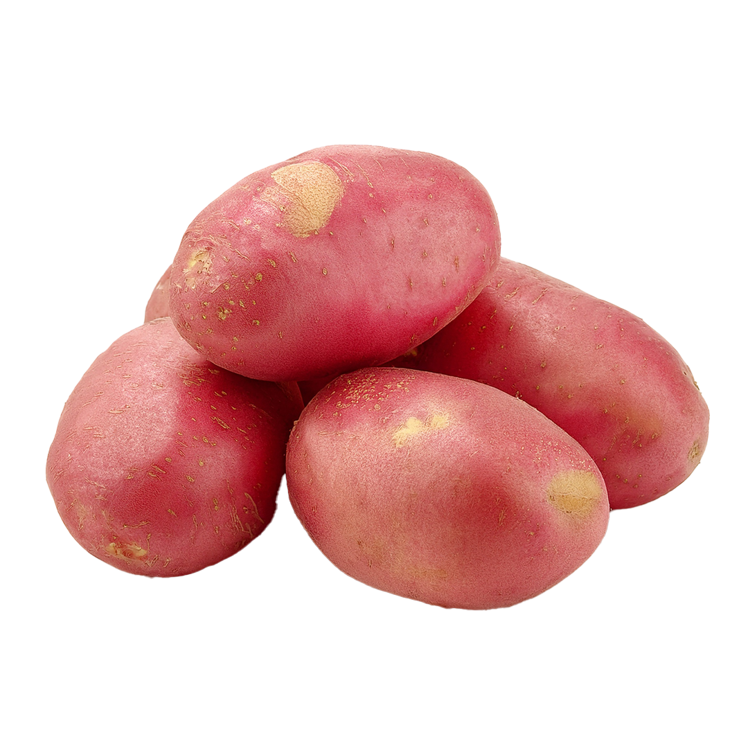 Potatoes Red 1 Potatoes Red