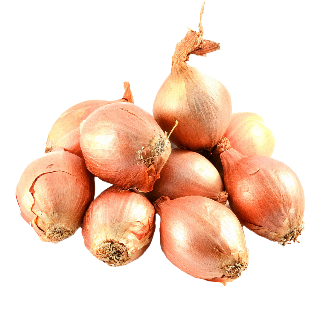 Shallots 1 Shallots