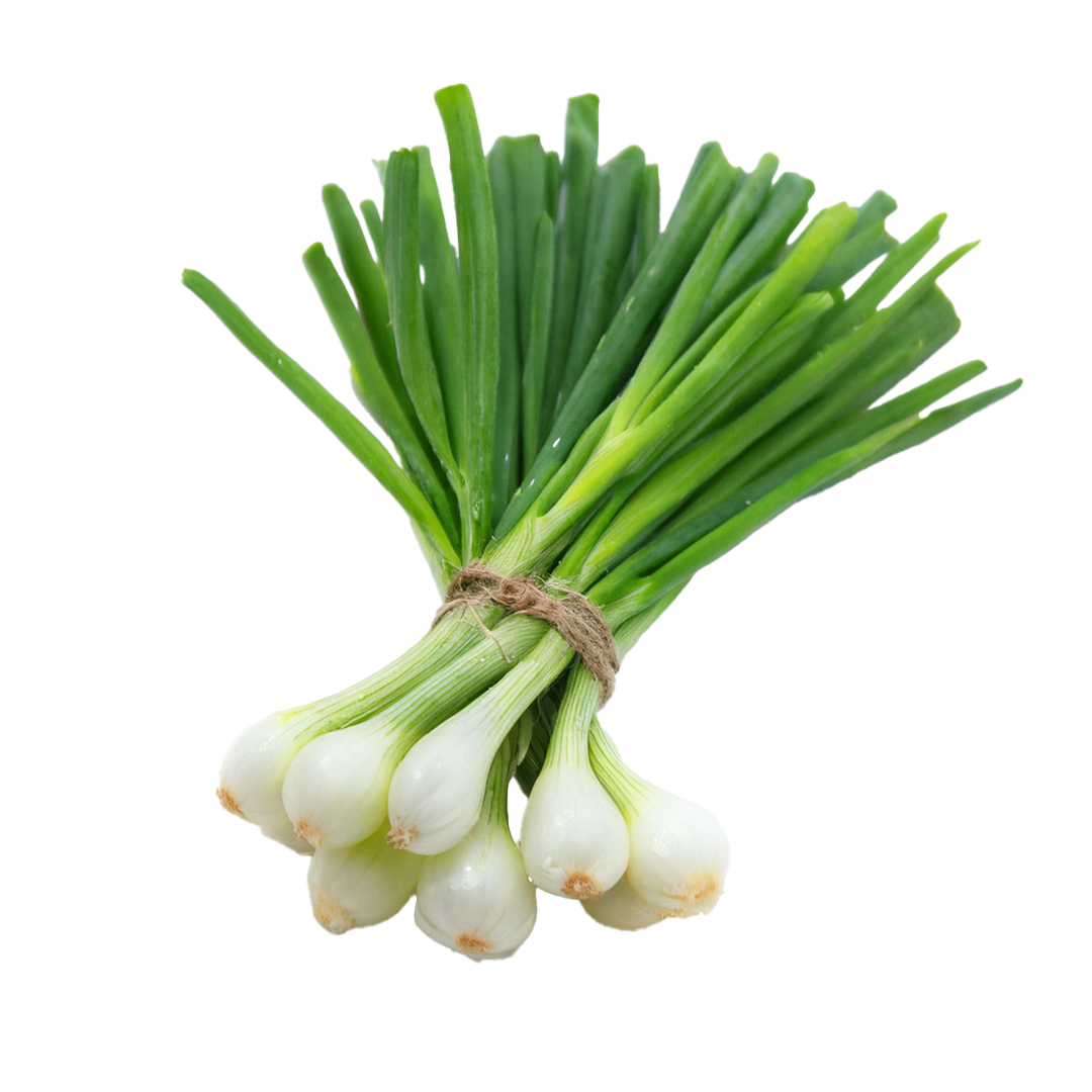Spring Onion 1 Spring Onion