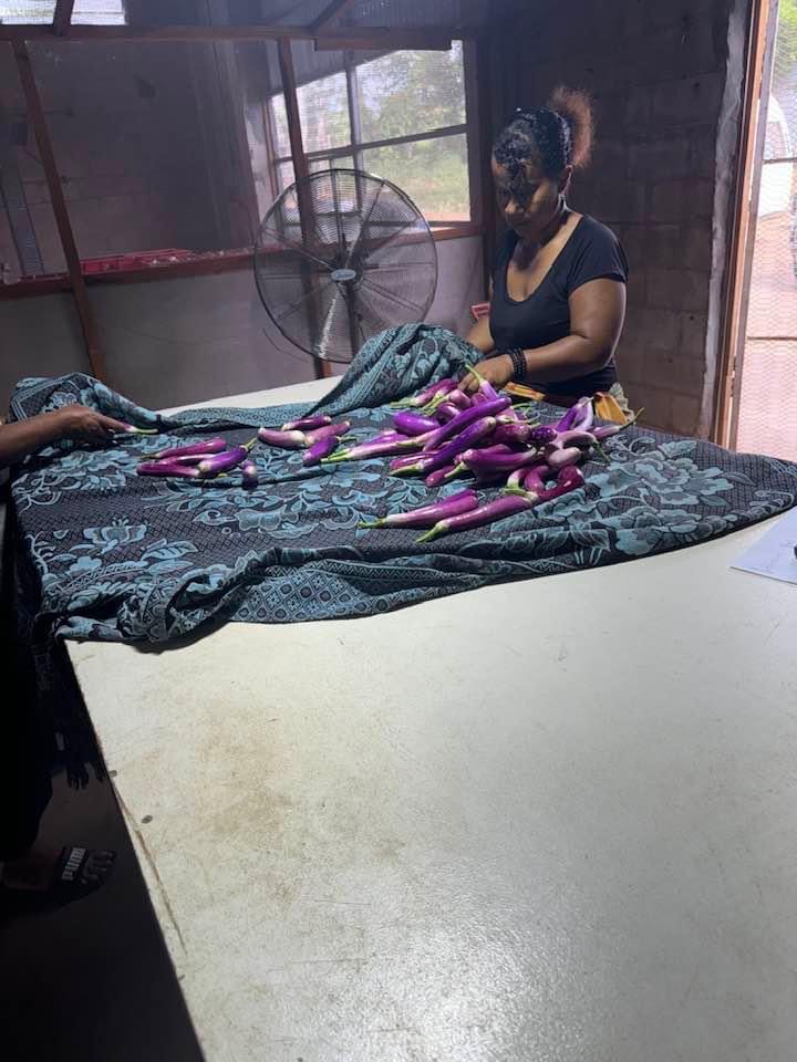 IMG_4587 svg+xml;charset=utf