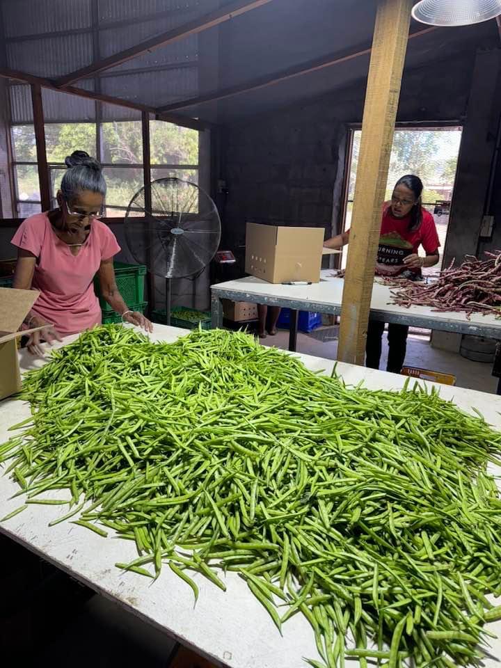 IMG_4588 svg+xml;charset=utf