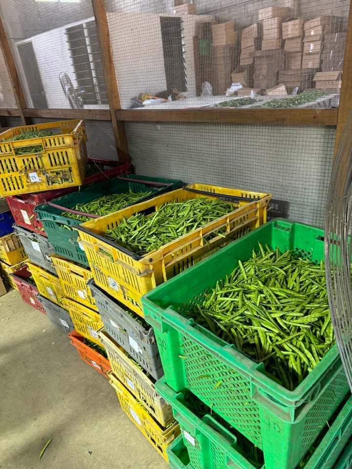 IMG_4591 svg+xml;charset=utf