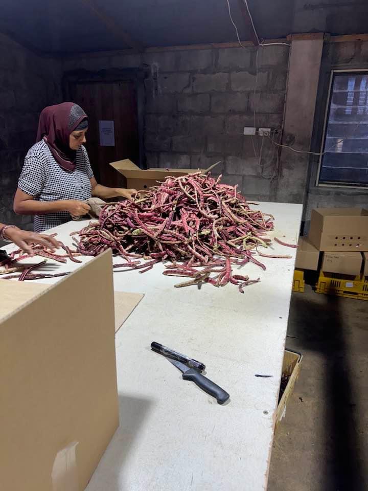 IMG_4593 svg+xml;charset=utf