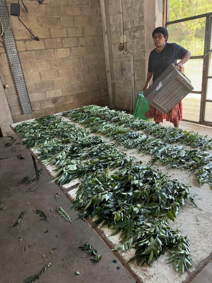 IMG_4594 svg+xml;charset=utf