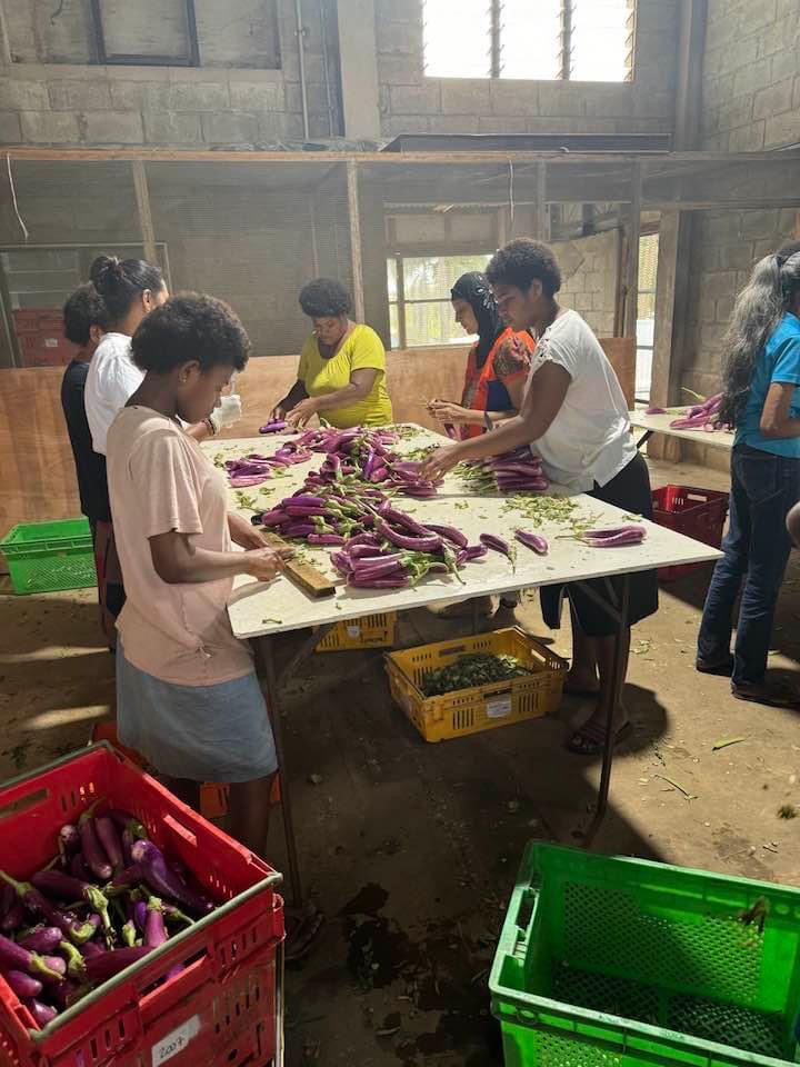 IMG_4596 svg+xml;charset=utf