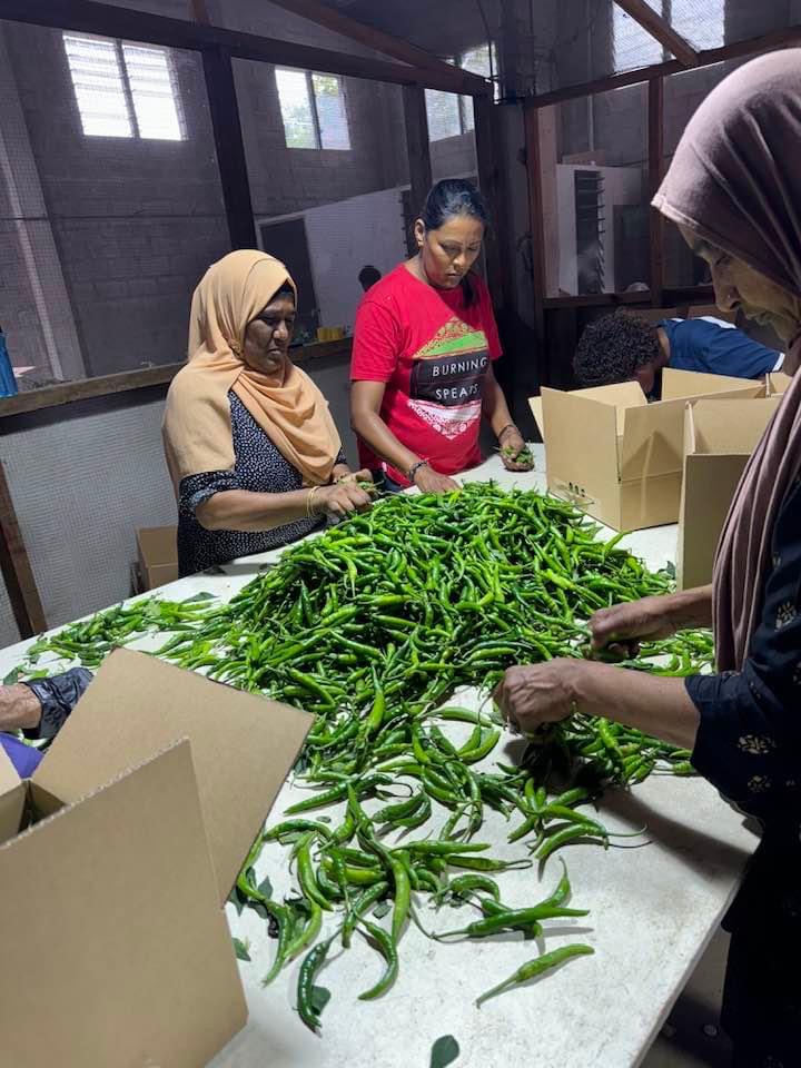 IMG_4597 svg+xml;charset=utf