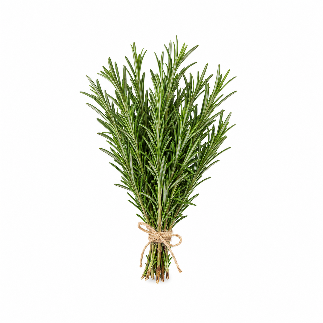 Rosemary 1 Rosemary