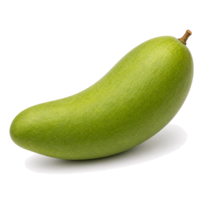 Mango Elephant Green