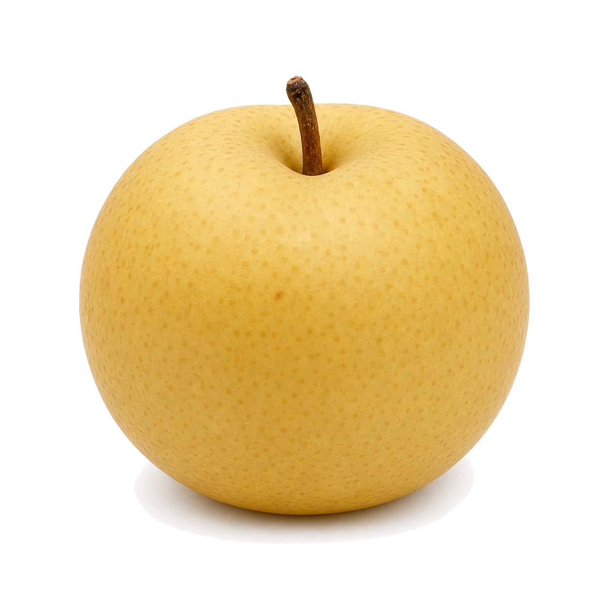 Nashi Pear 1 Nashi Pear