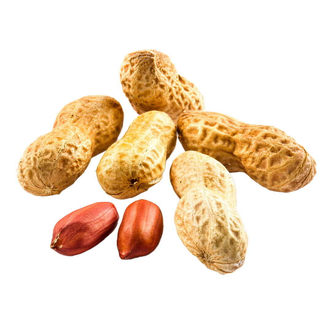 Fiji Fresh Peanuts 1 Fiji Fresh Peanuts