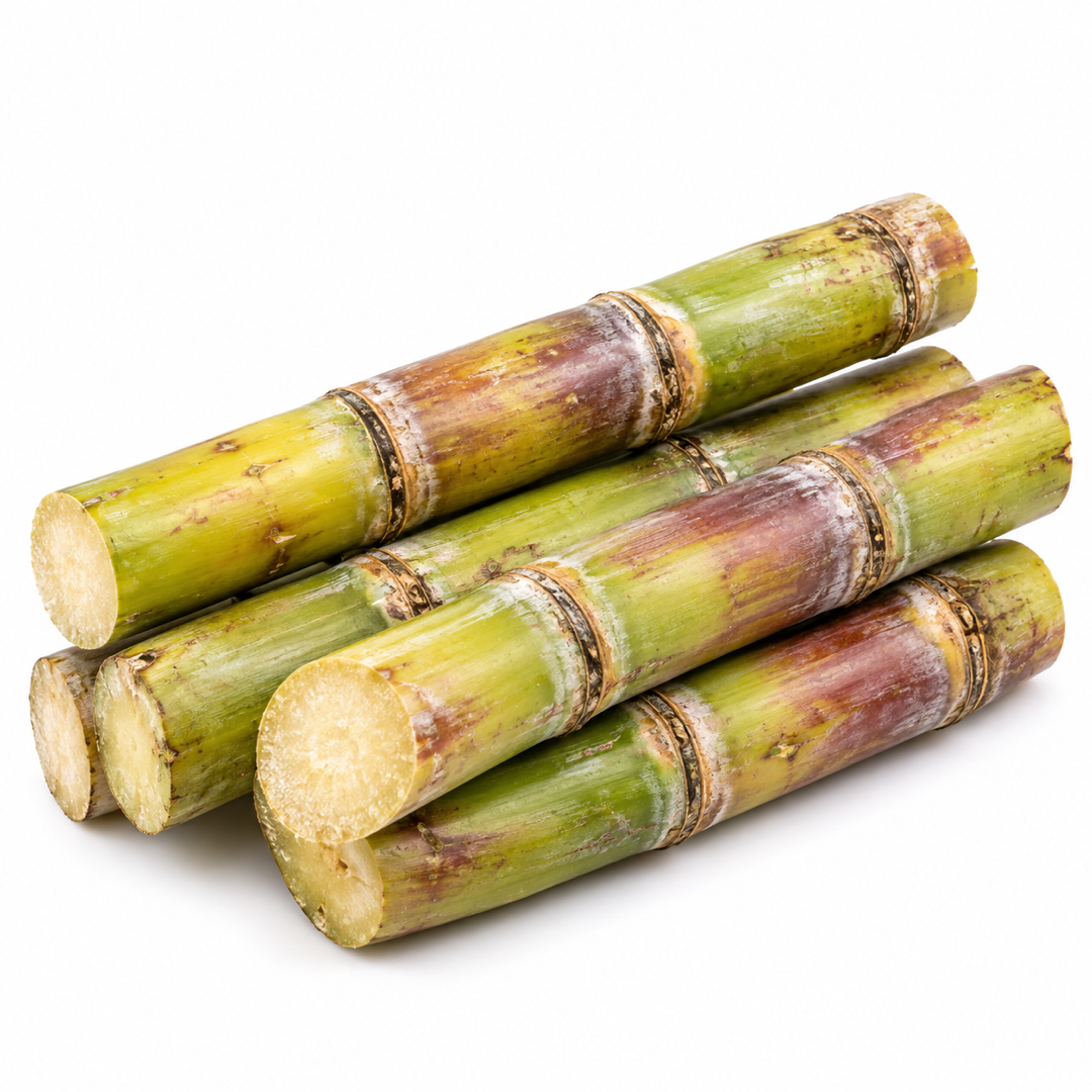 Fiji Sugarcane 1 Fiji Sugarcane
